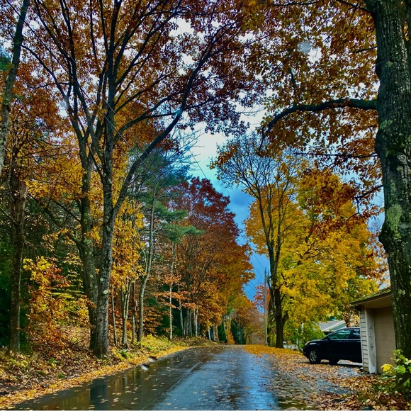 Meet your Posher, Cass - Picture 1 of 1